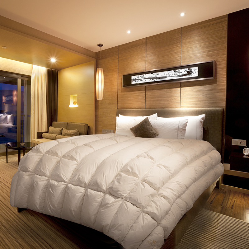 冬夏两用 鹅绒被