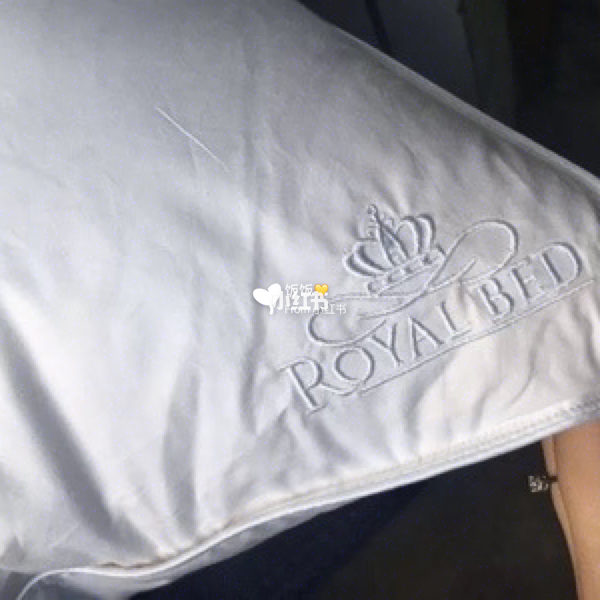 OBB royalbed莱茵枕测评