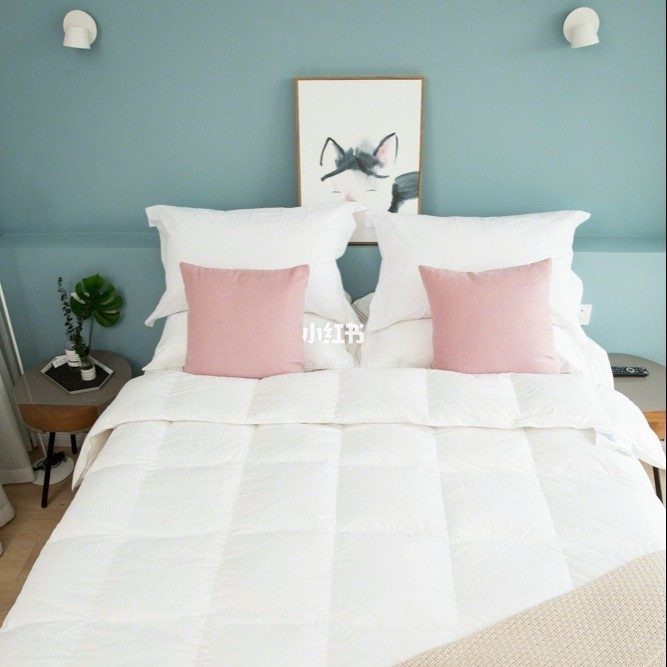 OBB鹅绒枕测评：提高生活品质可以从换一款枕头开始